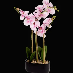 Action Kunstorchidee in pot> Kunstplanten & -Bloemen