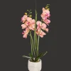 Action Kunstorchidee in pot> Kunstplanten & -Bloemen