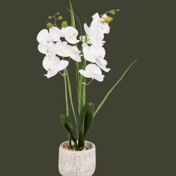 Action Kunstorchidee in pot> Kunstplanten & -Bloemen