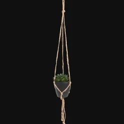 Action Kunst-vetplant in hangpotje> Kunstplanten & -Bloemen