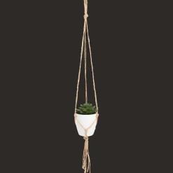 Action Kunst-vetplant in hangpotje> Kunstplanten & -Bloemen