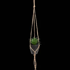 Action Kunst-vetplant in hangpotje><noscript><img width=