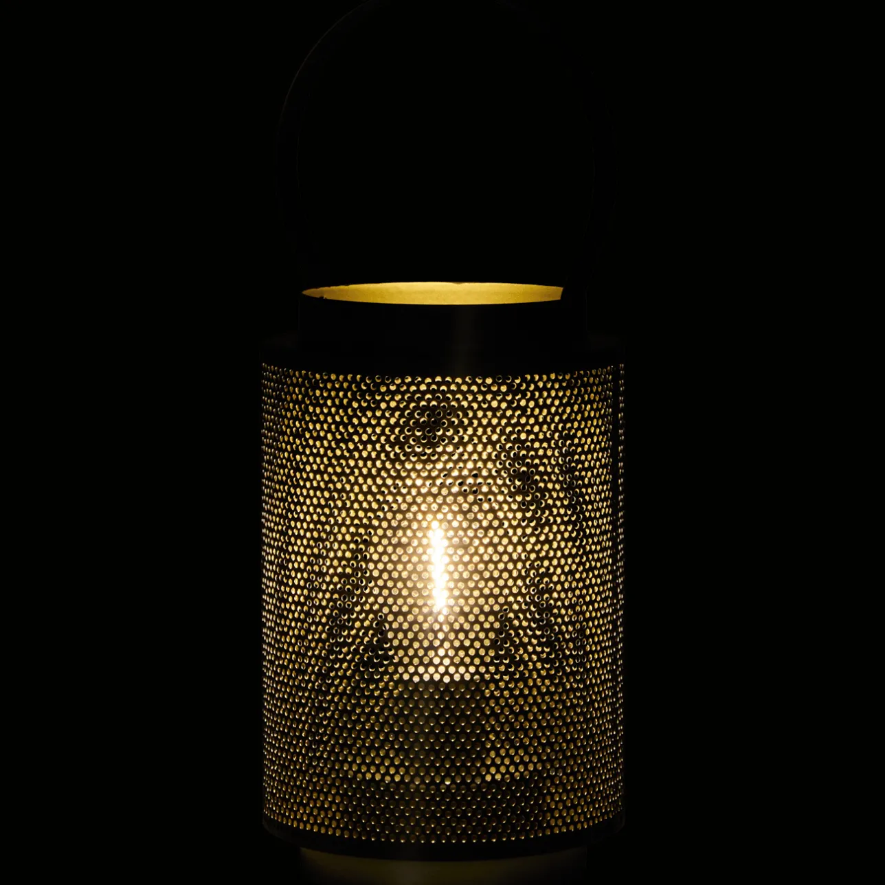 Action Lantaarn met led> Lampen