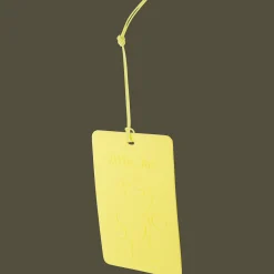 Little Joe geurkaart><noscript><img width=