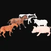 Action Mix van dieren> Spellen