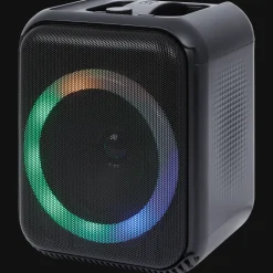 Roseland speaker met microfoon RS-200> Multimedia Accessoires
