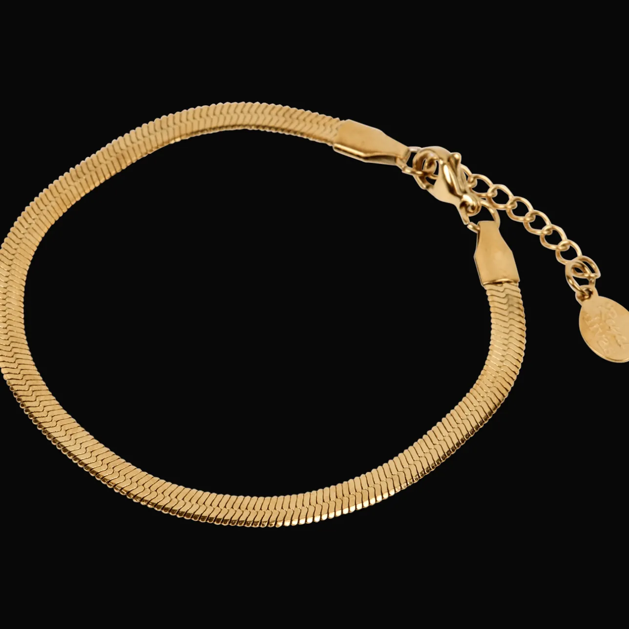Action Royal Divas roestvrijstalen armband> Horloges & Sieraden
