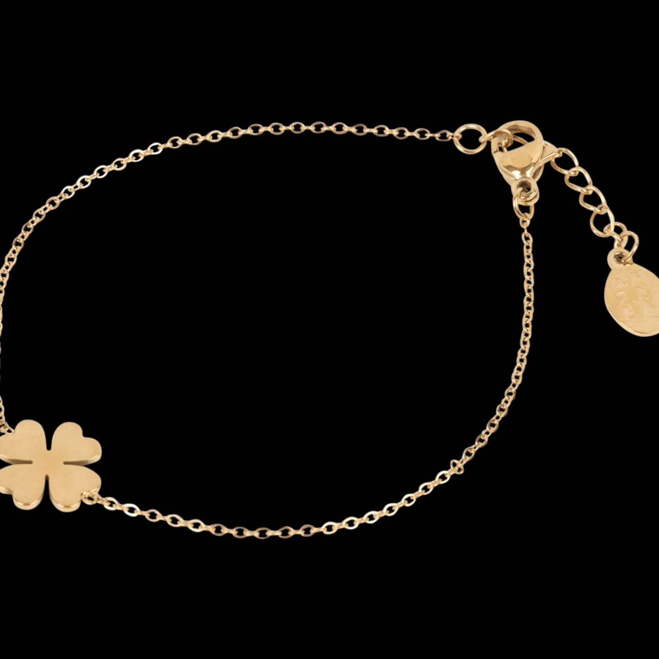 Action Royal Divas roestvrijstalen armband> Horloges & Sieraden