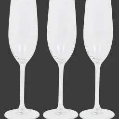 Royal Leerdam champagneglazen> Glazen