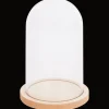Action Seasons & Style stolp op houten voet> Woonaccessoires