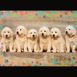 Action Teken- en knutselplacemat><noscript><img width=