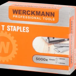 Werckmann nietjes><noscript><img width=