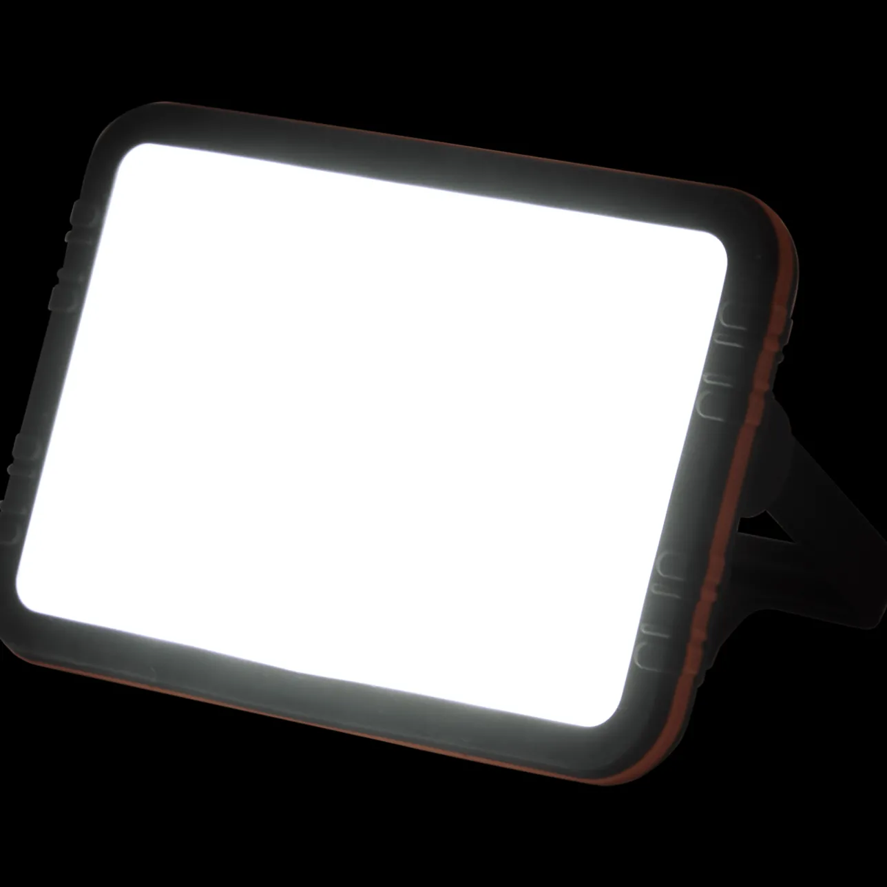 Werckmann oplaadbare werklamp> Verlichting