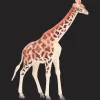 Action Wilde dieren speelfiguren> Spellen