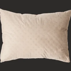 Action XL velvet sierkussen><noscript><img width=
