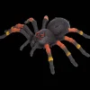 Zuru Wild Bots Giant Tarantula> Knuffels & Poppen